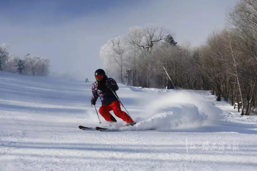 与电子政务发展相协调的政府理念是_新发展理念是_五大发展理念新