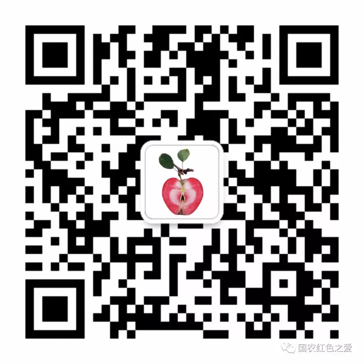 你知道今年年度最新奇最有趣的水果吗? 你知道今年年度最新奇最有趣的水果吗?