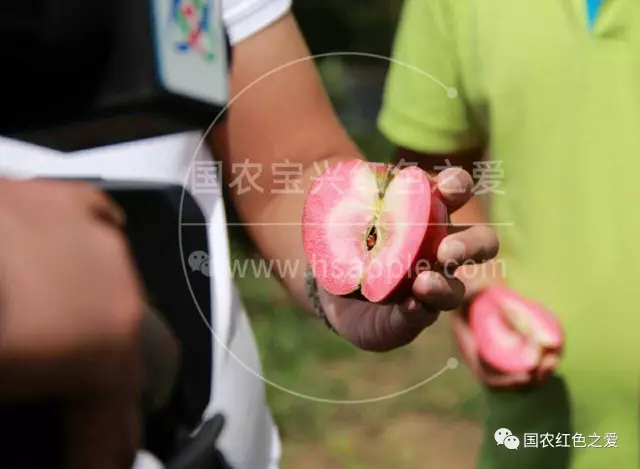 心形切面,替你说出“我爱你”! 心形切面,替你说出“我爱你”!