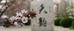 聚焦信息技术 赋能教师成长——沧县中学举办多媒体设备实用技能教师培训活动