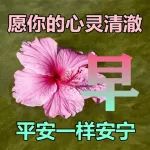 3月22日春天早上好问候句子，2023特别漂亮精美早安图片