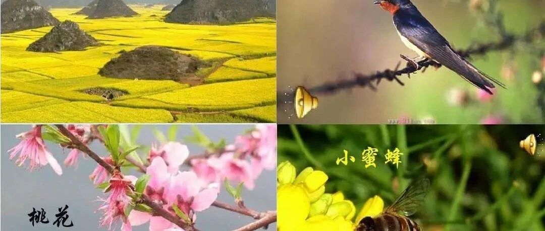 【诗林雅韵】高建河||拥抱春天