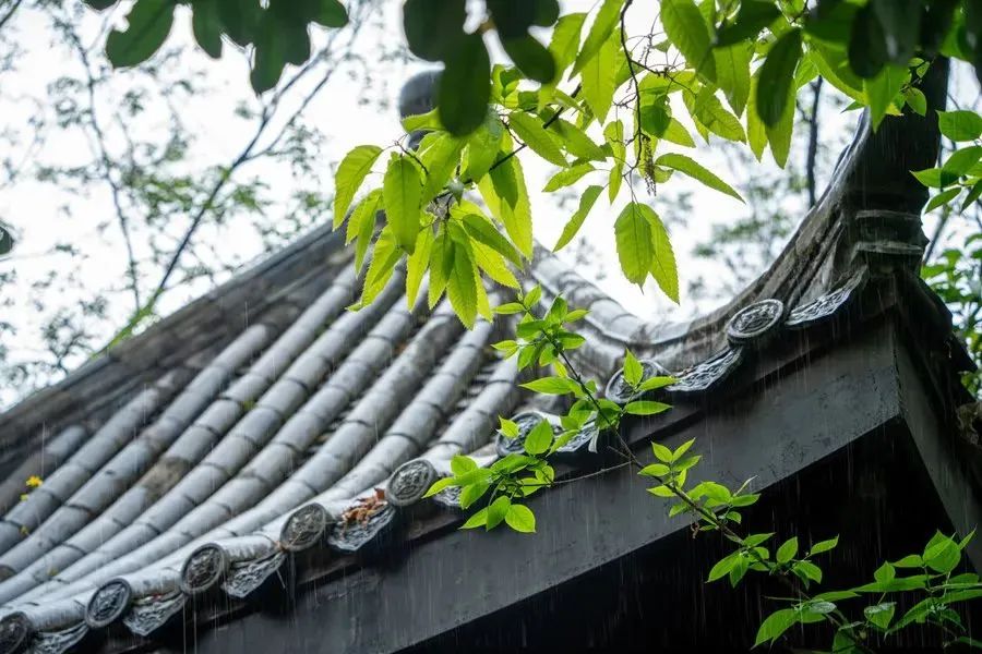 寒气湿气重吃什么好