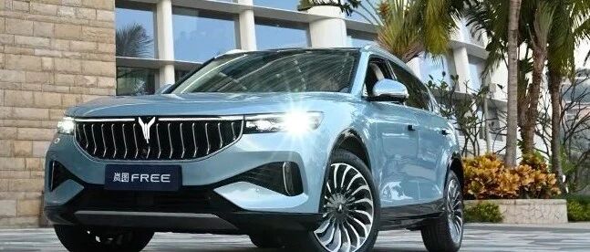 集齐了成功的基础因素！岚图FREE新车静态体验