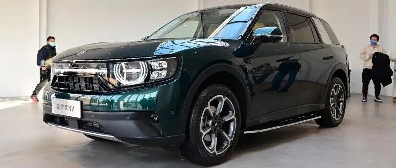 新造车势力的又一朵浪花，静态体验自游家NV