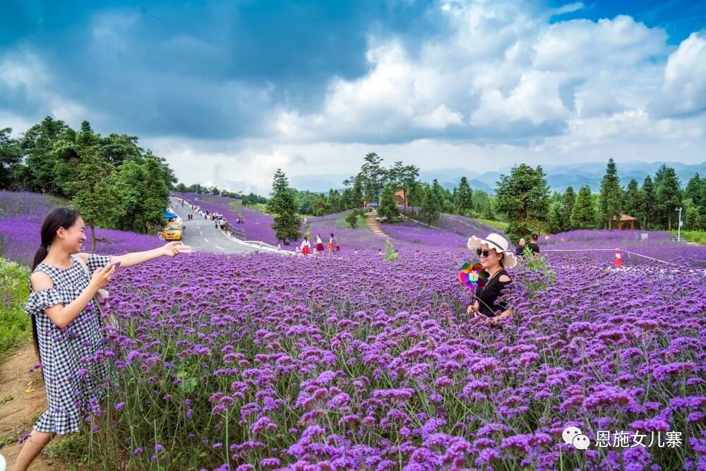 巴东办高山花海动漫节近万游客赏花看 秀 天下拍客 微信公众号文章阅读 Wemp