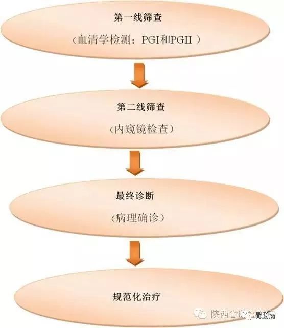 如何進行早期胃癌篩查？（百姓版） 健康 第2張