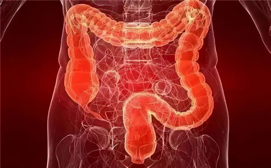 肠镜检查——全知道