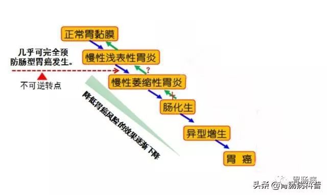 感染了幽門螺桿菌，卻沒有症狀，到底要不要治療？這篇文章說透了！ 健康 第3張