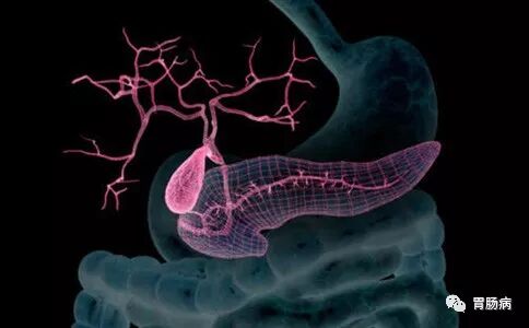 60%的胰腺癌被误诊为胃病！有这些症状的胃病患者千万要注意了！