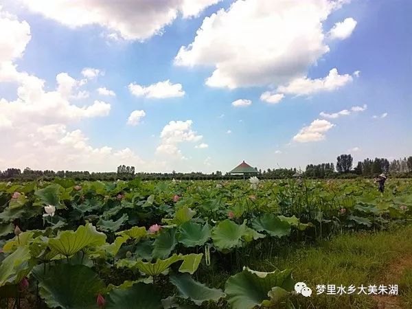 火蓝刀锋剧情简介