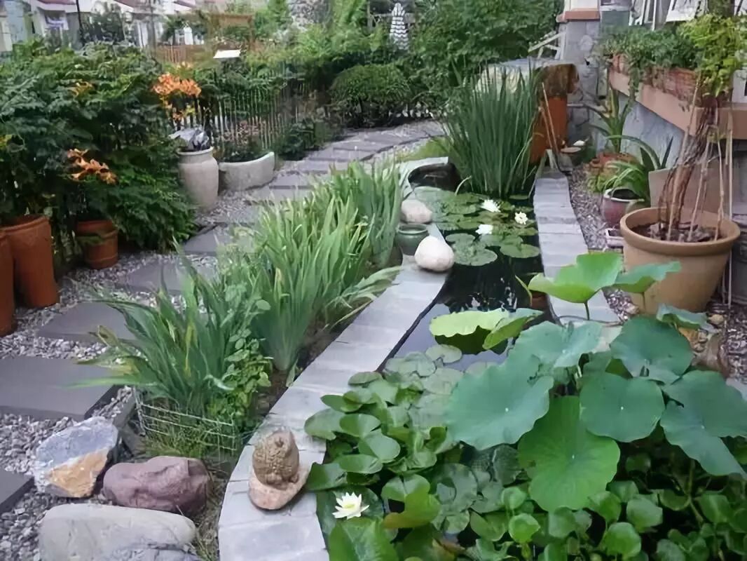 不同风格的庭院植物配置 海南恒之恒园林工程有限公司