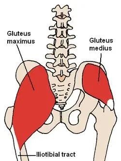 步态分析上曲线怎么解读步态分析的常用方法，很实用！_https://www.jmylbn.com_新闻资讯_第7张