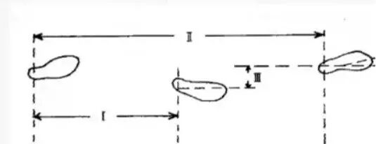 步态分析上曲线怎么解读步态分析的常用方法，很实用！_https://www.jmylbn.com_新闻资讯_第2张
