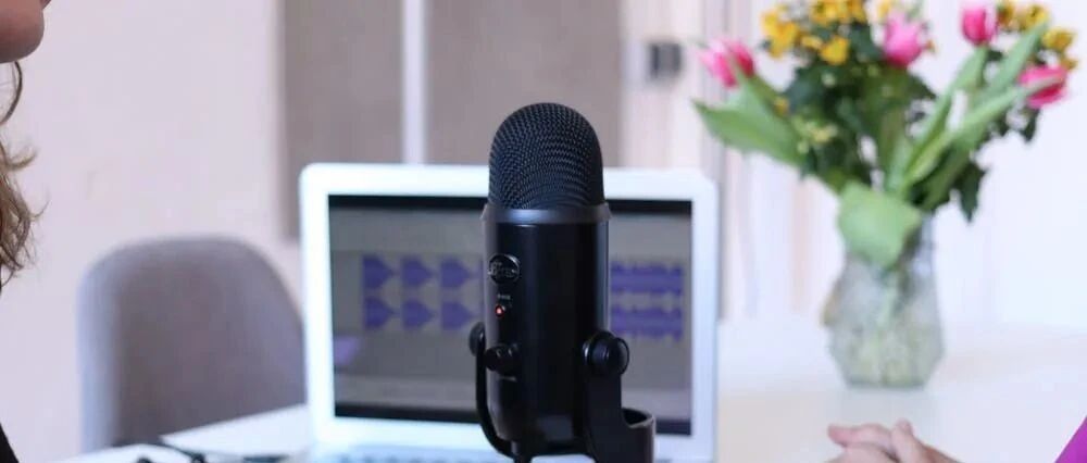 好声音怎么变成钱？每天十分钟，在家就能做副业！