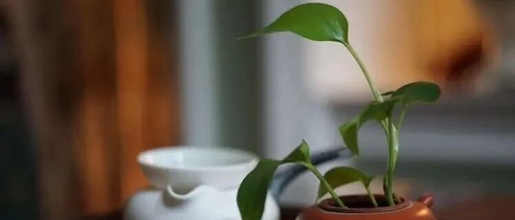 灵魂深处的修养（深度好文）