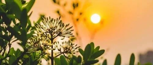 命里缺啥，一看便知（太准了！）