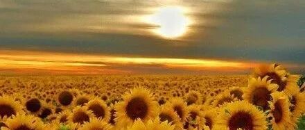 过好一生，首先要做对这四件事