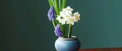 人最大的成功，是健康地活着！