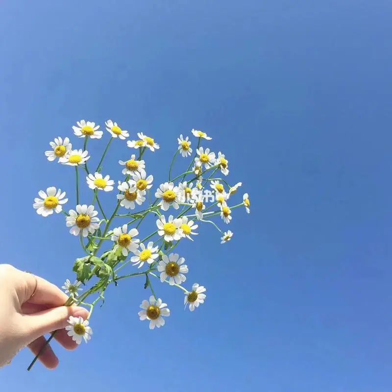 “你的每条朋友圈，都在出卖你”