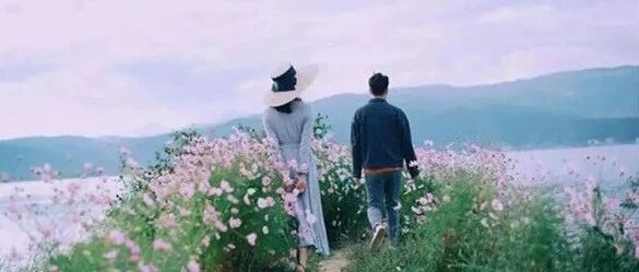 董卿：幸福的家庭，从来不是三观相合，而是不争对错（好文）