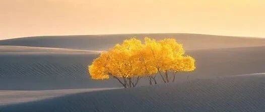 丰富自己，胜过取悦别人（深度好文）