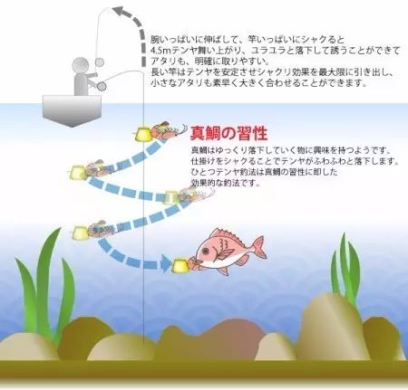 小贴士 真鲷船钓法 长风大浪任纵横 微信公众号文章阅读 Wemp