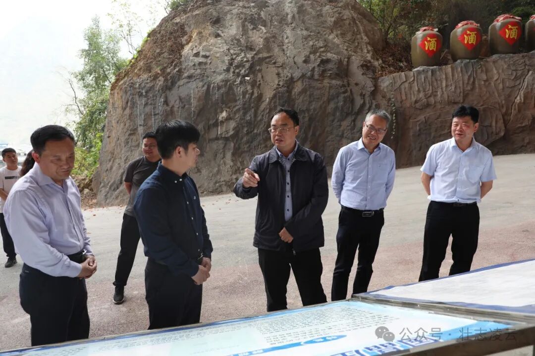秦昆到凌云开展工作调研
