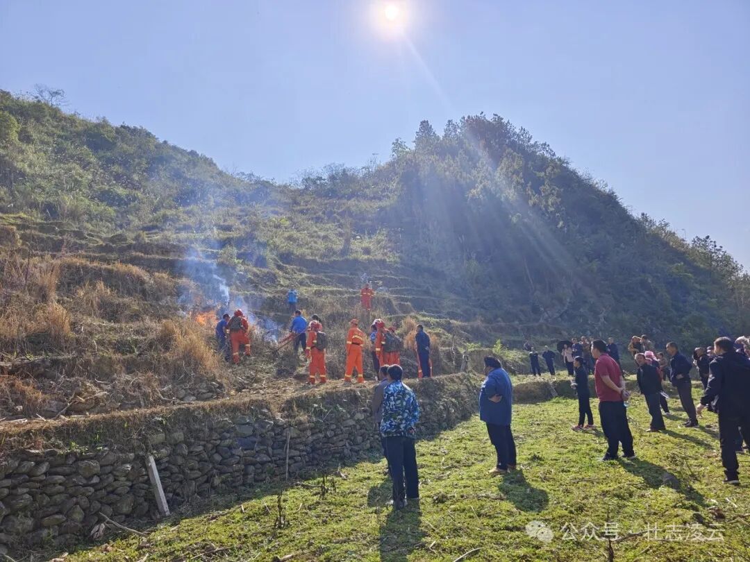 逻楼镇:紧绷森林防火弦 严防死守除隐患 - 乡镇要闻 - 广西百色凌云县