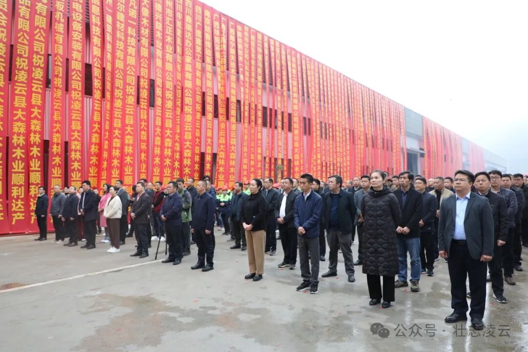 凌云动态>肖国权,黄凤萍,石永存,黄胜杰,杨广林,吴先毅等县领导参加