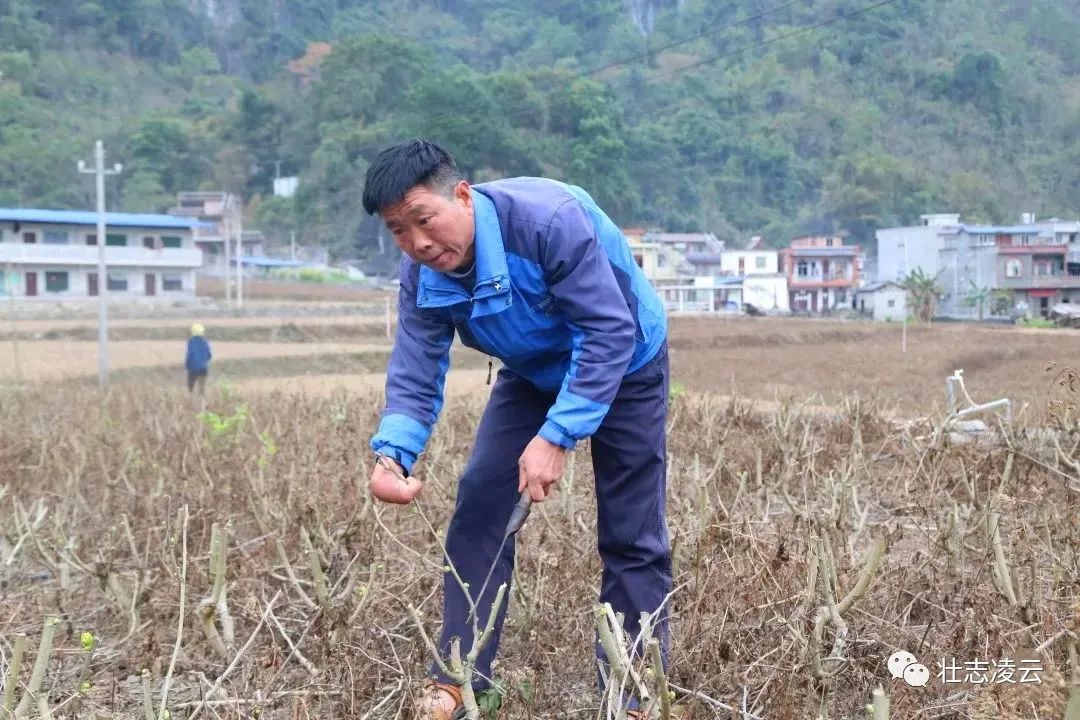 刘进飞身残志坚撑起致富梦