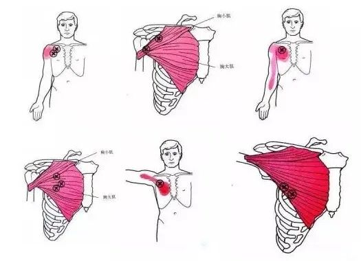 怎么评估病人肌力“肩 髋 膝 踝” 4大关节体格检查，干货速取！_https://www.jmylbn.com_新闻资讯_第10张