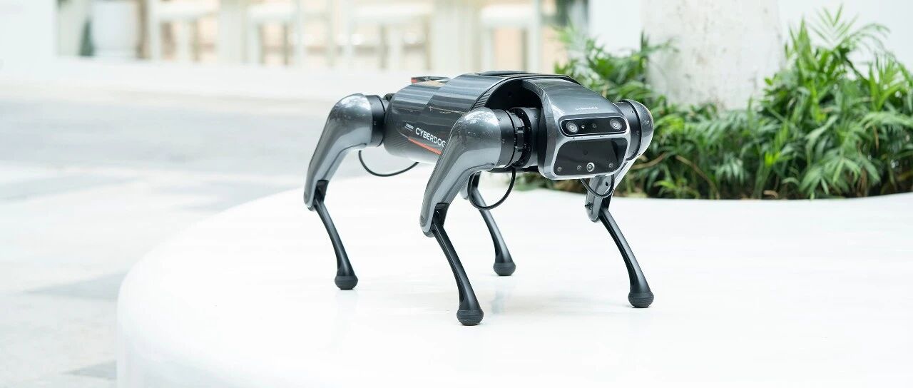 “铁蛋”遛后感：关于CyberDog仿生四足机器人的思考