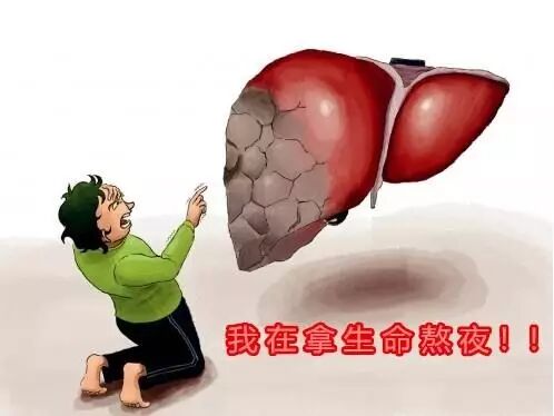 解酒护肝，灵芝竟然这么厉害！