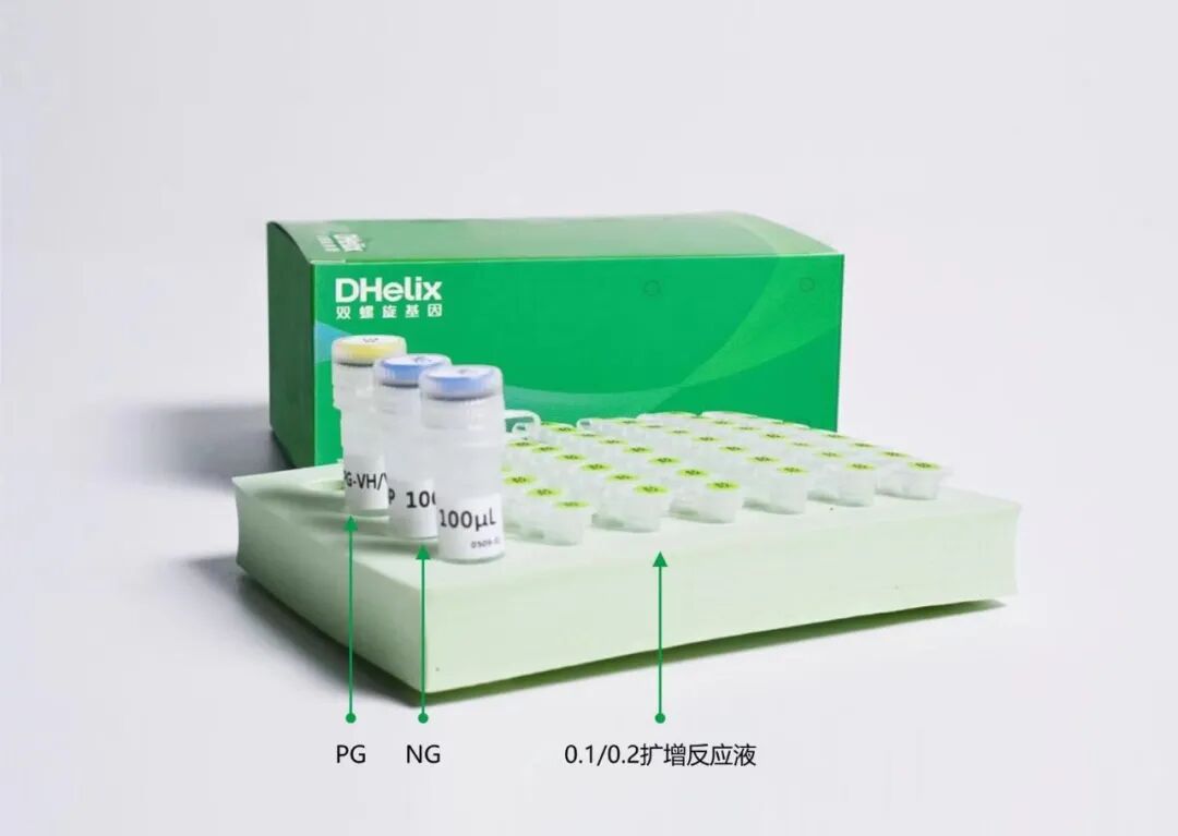 对虾出现黑鳃、白肌、体色发白？这种细菌感染值得关注！