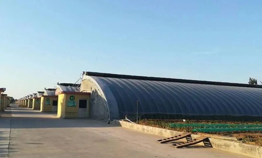 冬天温室大棚要如何增温防灾?