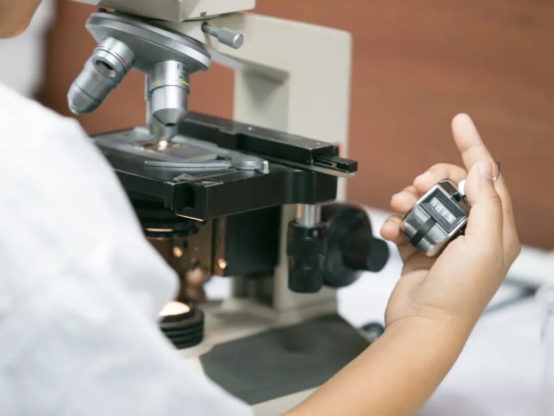 細胞計數(shù)的實驗步驟＆問題分析