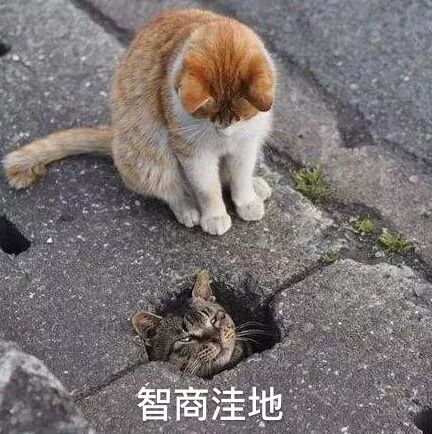 揭秘！那些小红书上关于美白牙齿的热门帖子