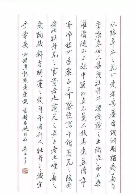 硬筆書法家楷書行書作品欣賞漂亮鋼筆字