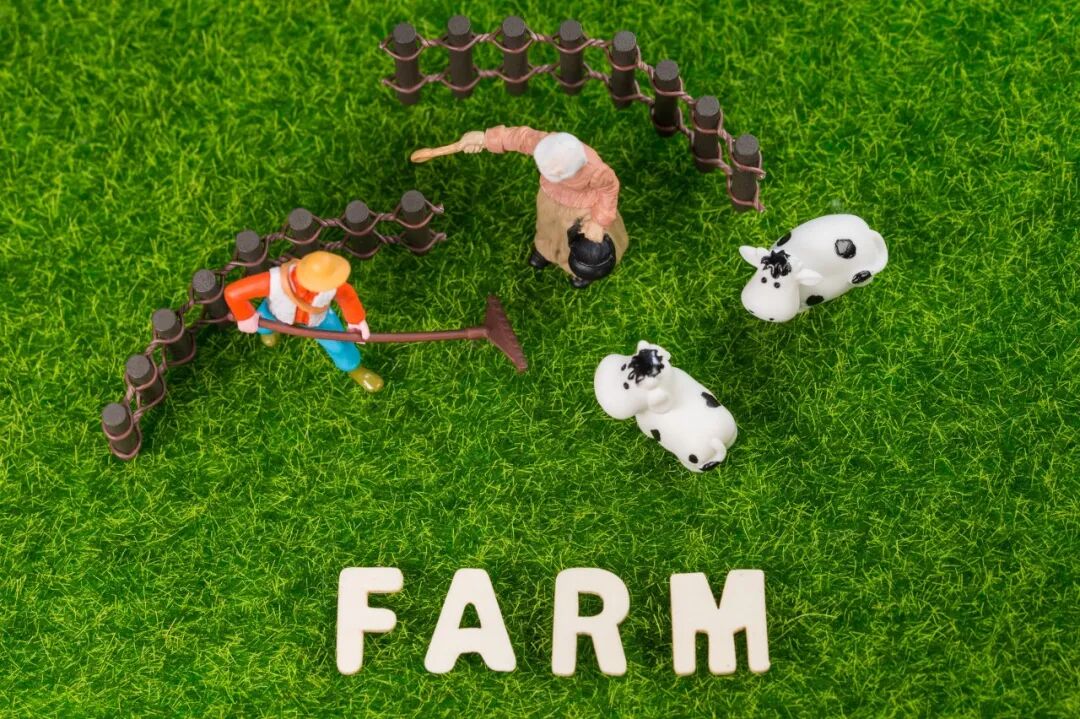 【5/10更新】牛粪逆袭！我家的牛，吃的是草，挤的是奶，拉的是……电！的图9