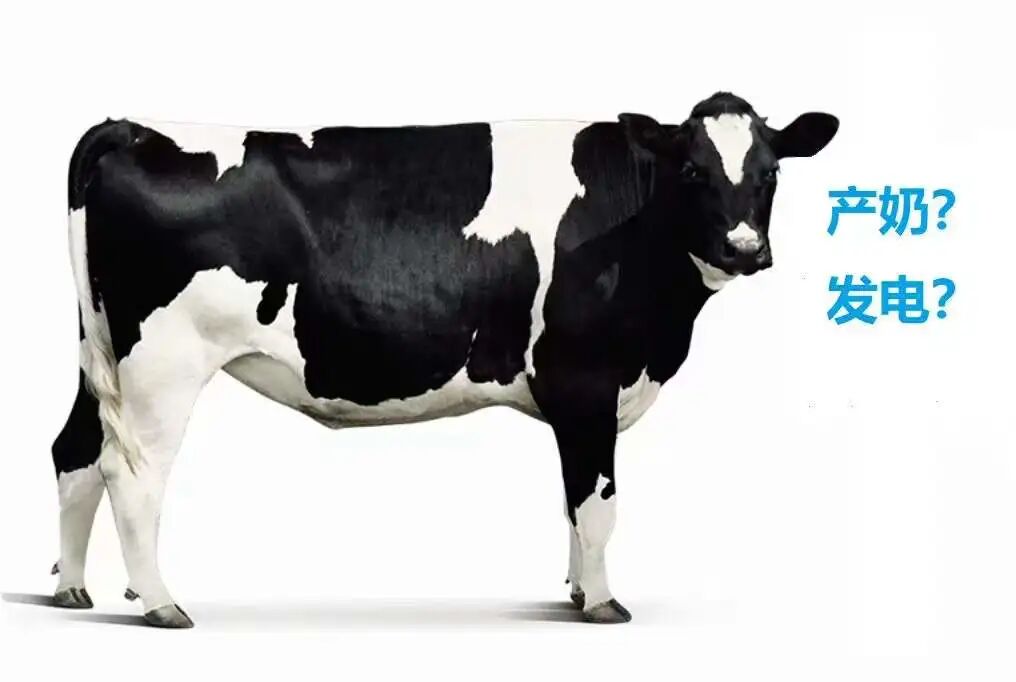 【5/10更新】牛粪逆袭！我家的牛，吃的是草，挤的是奶，拉的是……电！的图4