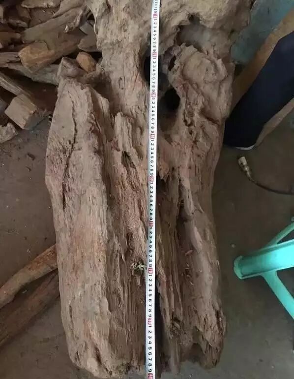 红木赌料——玩得就是刺激与运气，半小时的功夫净赚三十万！