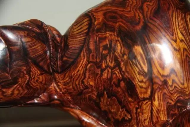 4种木头经常被用来冒充海黄，玩友们千万小心！