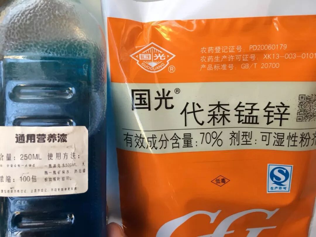 夏天常做这2件事,花草长得旺不生病