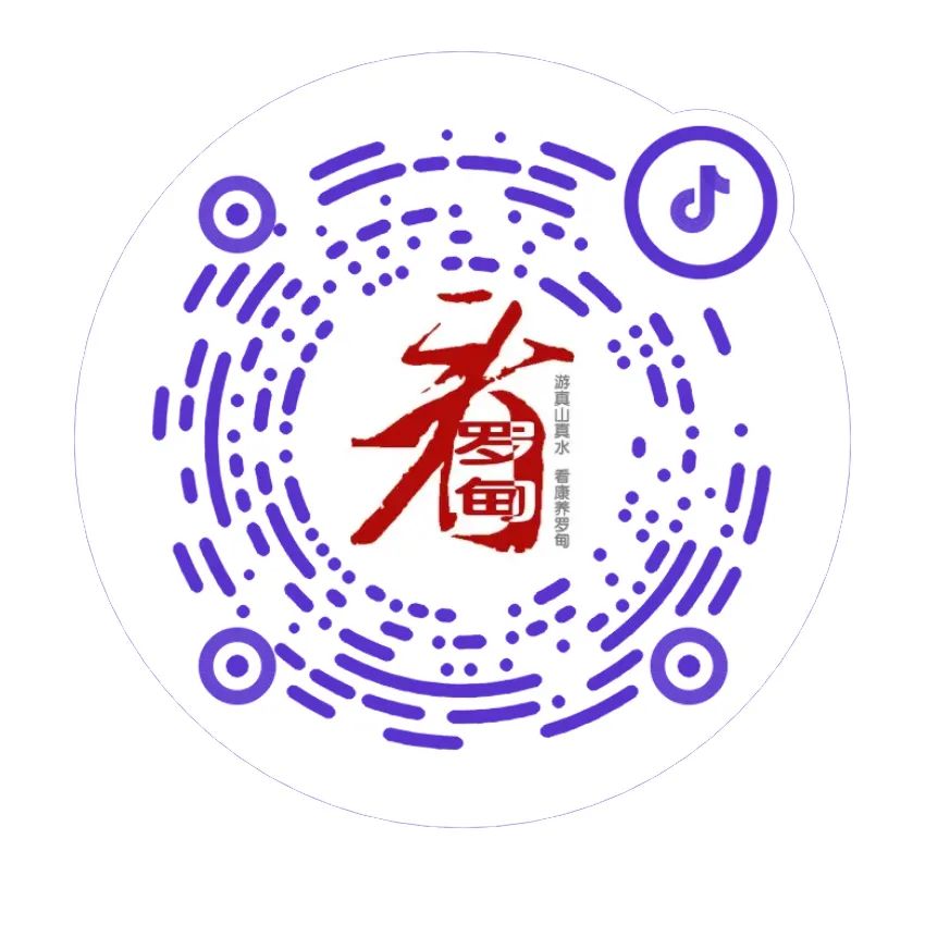 为什么买进口肺功能仪好消息！罗甸县中医医院引进的进口肺功能检查仪已全面启用_https://www.jmylbn.com_新闻资讯_第19张