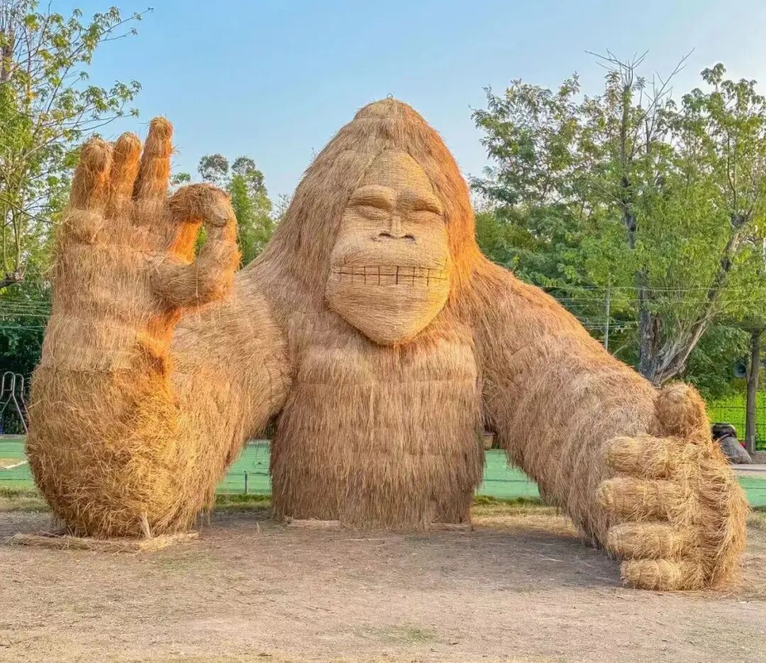 务活 筑新市新生民梦银行服科技