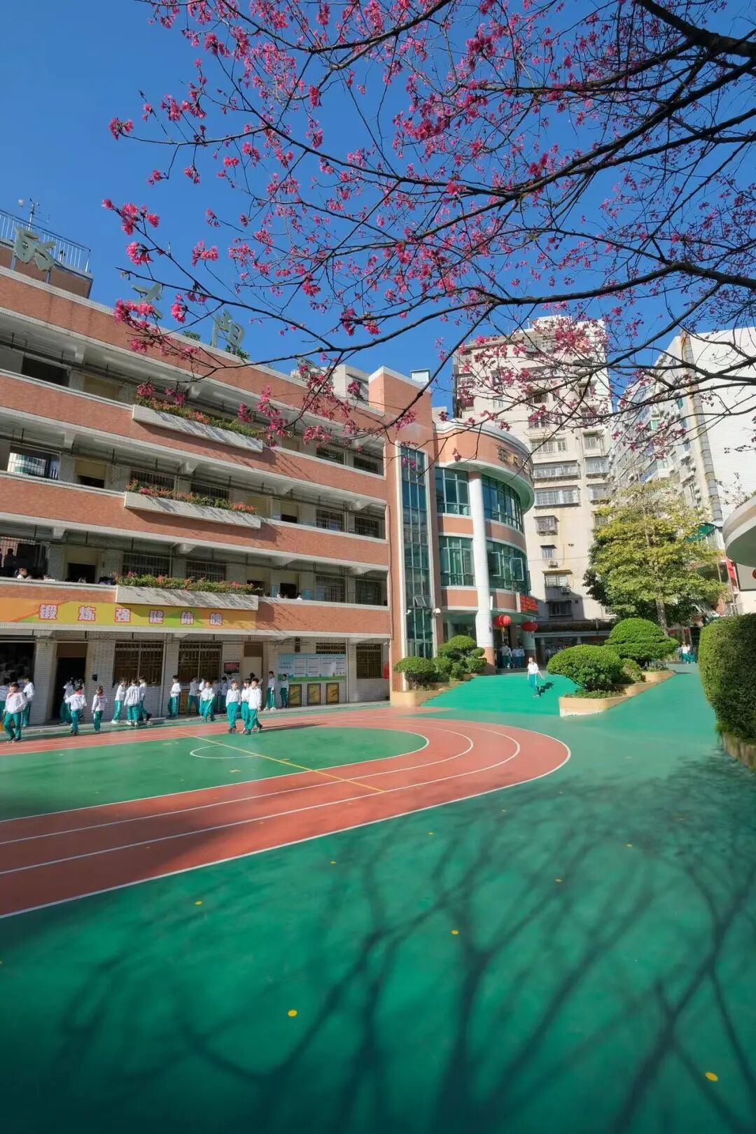 摄影:唐广海撰稿:李玲燕以上内容来源于"广州市越秀区东风东路小学"