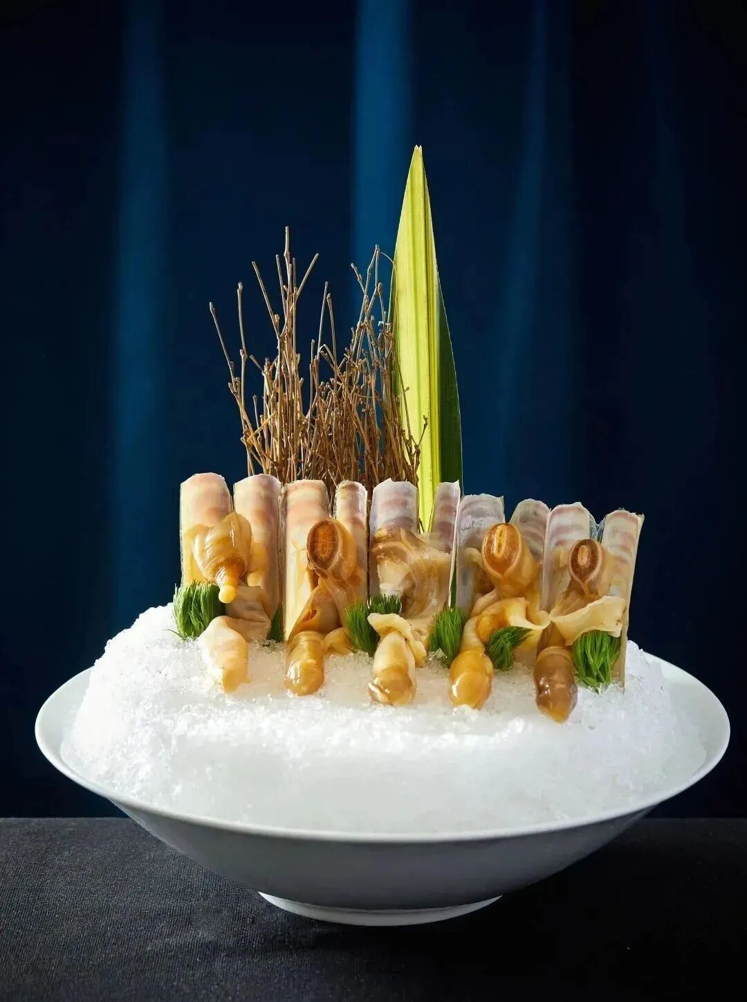 活八爪鱼姿造.经典贝类组合姿造.老虎斑姿造.美国响螺姿造.