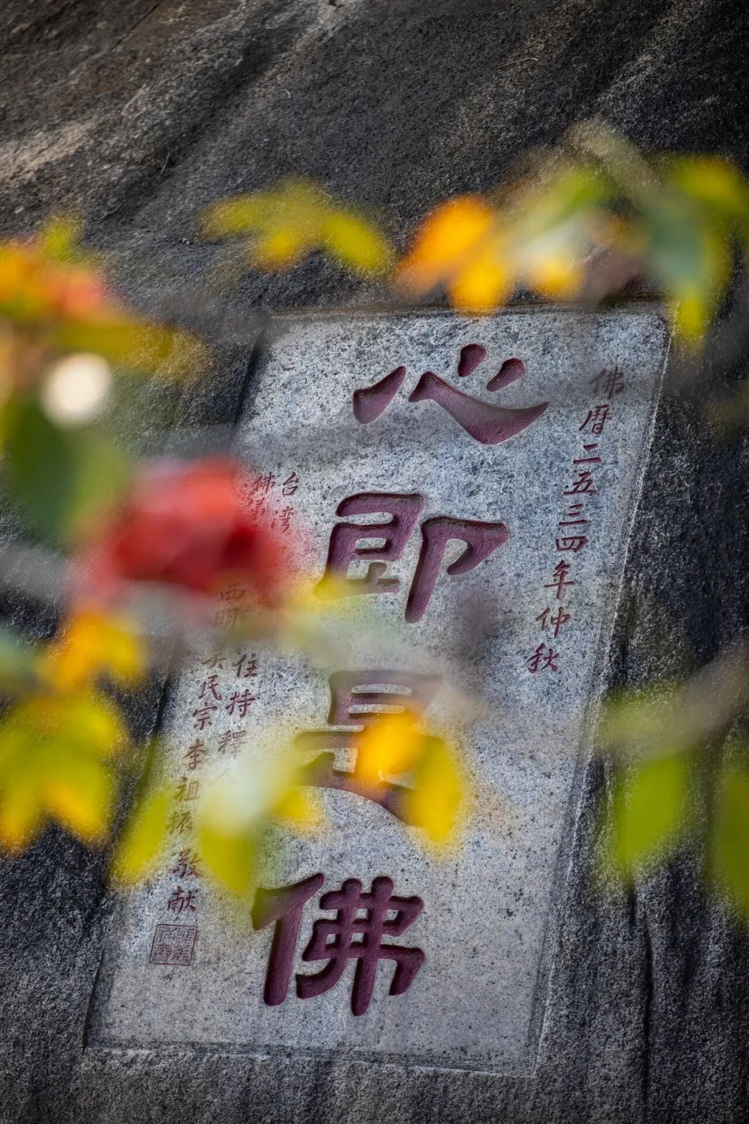 禅意自然无形方可明心见性