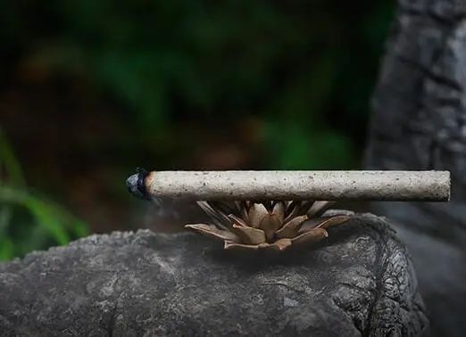 图片关键词